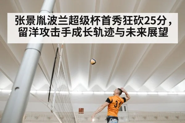 Poland volleyball league